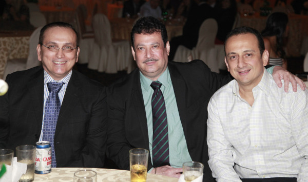 Cemesa despide el 2013