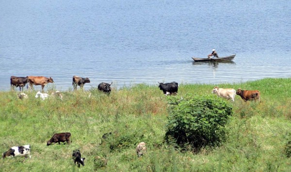 Crece contaminación y daño en el único lago natural de Honduras