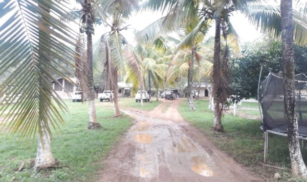 Allanan hacienda con caballos de raza y ganado en Santa Bárbara