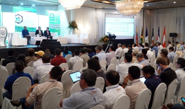 El 60% del parque cafetalero tiene variedades resistentes a la roya