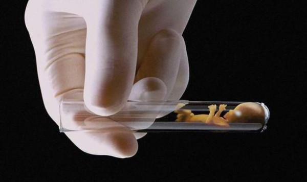 Reino Unido, primer país en permitir hijos de tres progenitores