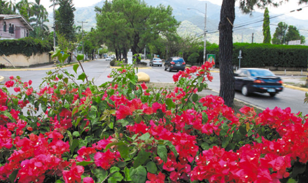 Correa y Felipe de Borbón vienen a asamblea de OEA