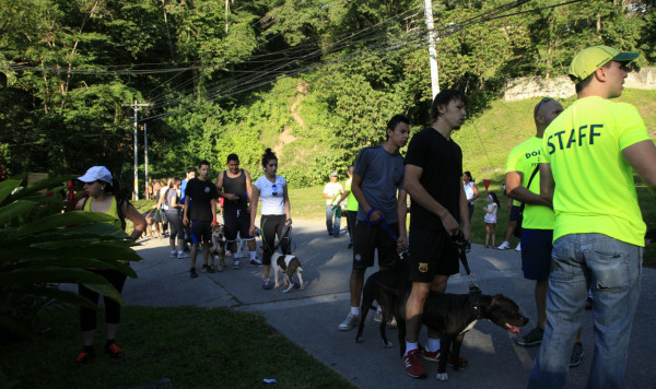 Pitbulls lo dieron todo en el segundo DogRun en San Pedro Sula