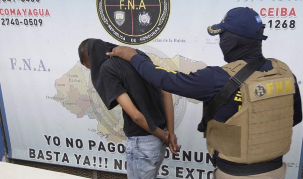 Solo el 24% de las denuncias logra llegar a los juzgados