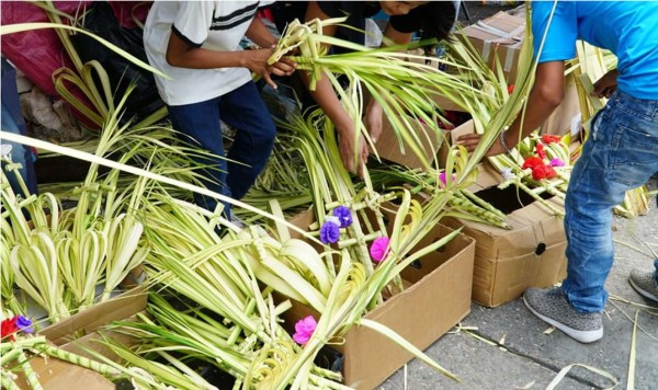 Así se preparan vendedores de palmas para el Domingo de Ramos