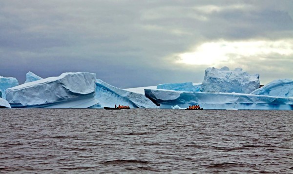 Terranova y Labrador, un paisaje rodeado de icebergs