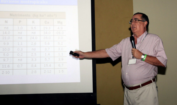 El 80% de las zonas de reserva sufren deforestación