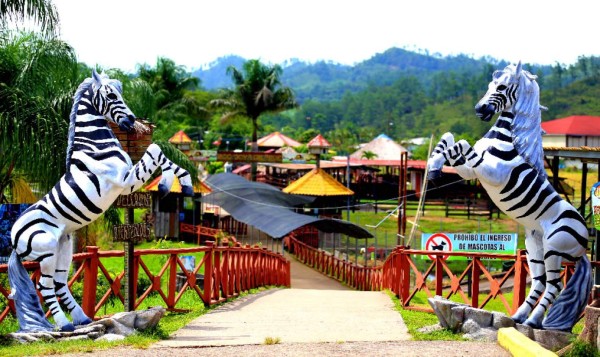 El Cachiro era informante de la DEA desde 2013