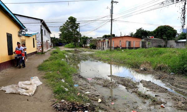 Plaga de zancudos en colonia Villa Ernestina
