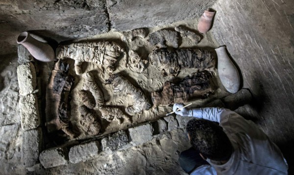 Egipto devela siete tumbas de los faraones con gatos y escarabajos momificados