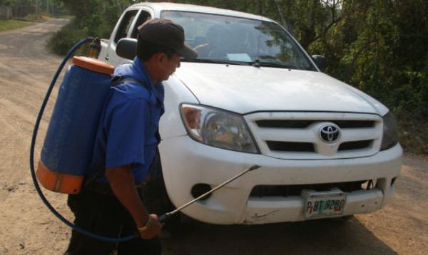 Honduras garantiza sanidad de carne de cerdo