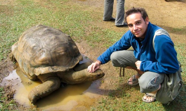 Roban 123 crías de tortugas gigante en Galápagos