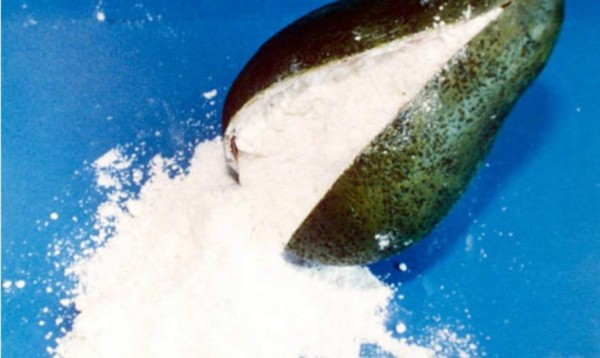 Desarticulan red que enviaba droga en aguacates