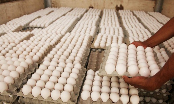 Consumidores ahorrarán L8.50 en compra del cartón de huevo en los Banasupro