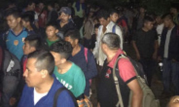 Más de 70 hondureños fueron abandonados por traficantes