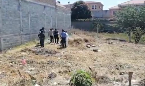 Hallan varios fetos humanos en solar baldío de Tegucigalpa