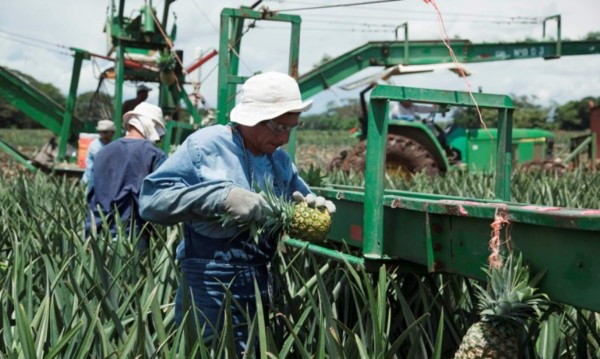 Costarricenses expanden su presencia comercial a Turquía