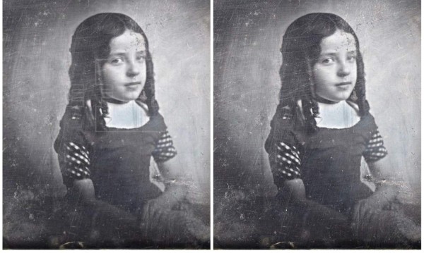 El Rijksmuseum homenajea a Anna Atkins, la primera mujer fotógrafa