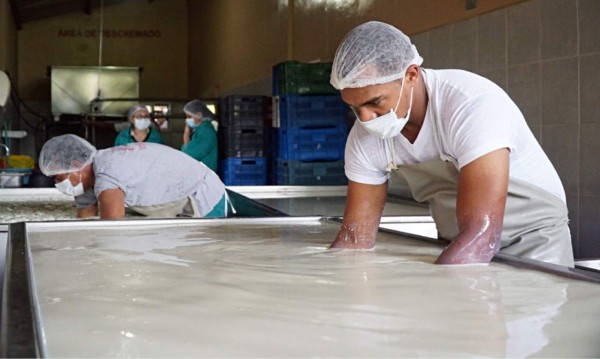 Lácteos artesanales registran rebaja de 8 y 10 lempiras la libra