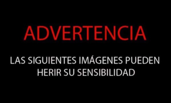 Video del momento exacto de la masacre de bar en Acapulco