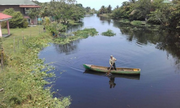 Luchan para convertir estero en destino turístico en Omoa