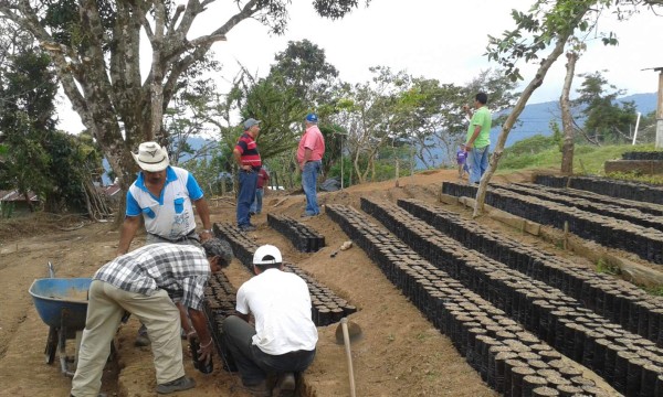 Lanzan proyecto 'Yo soy Merendón”