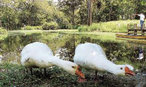 Campisa, un paraíso ecológico en la ciudad