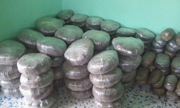 Decomisan en Colón unos 173 paquetes de supuesta marihuana