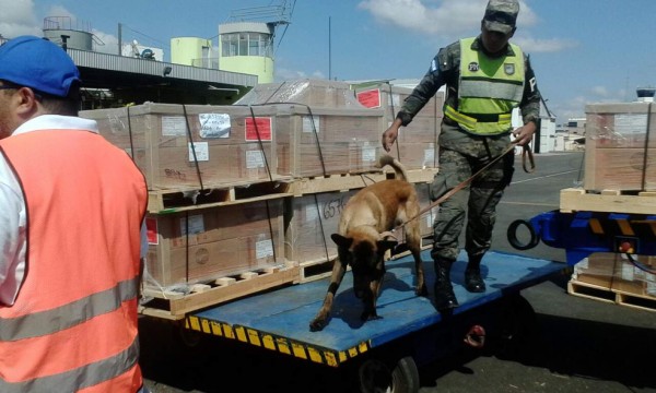 Operación Tifón III ejecuta 186 allanamientos