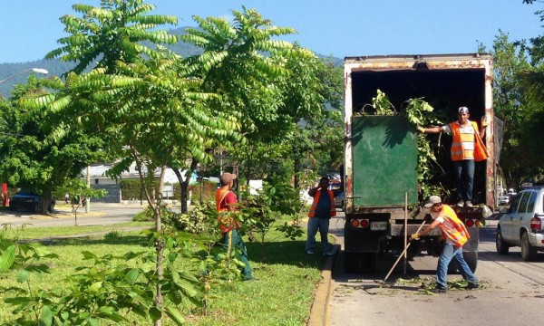 Limpian medianas y bulevares de San Pedro Sula