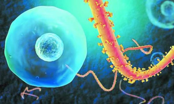 Habilitan call center para información contra el Ébola