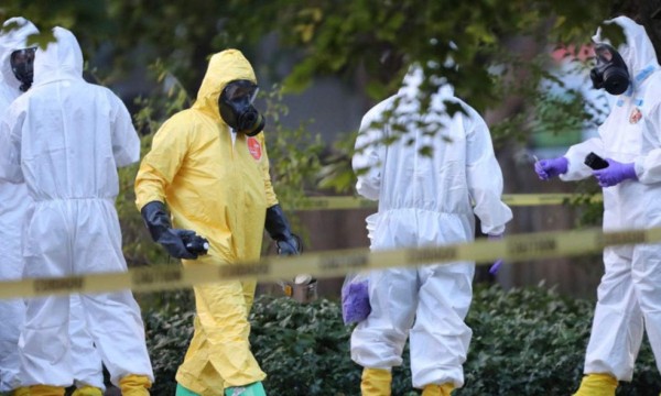 Detectan el primer caso de peste bubónica en California en cinco años