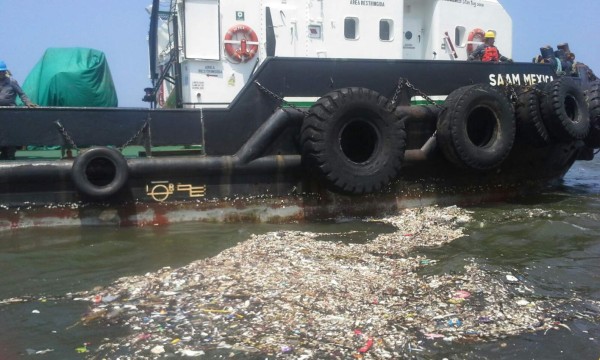 Un cocodrilo venía en basura que llega a playas de Omoa