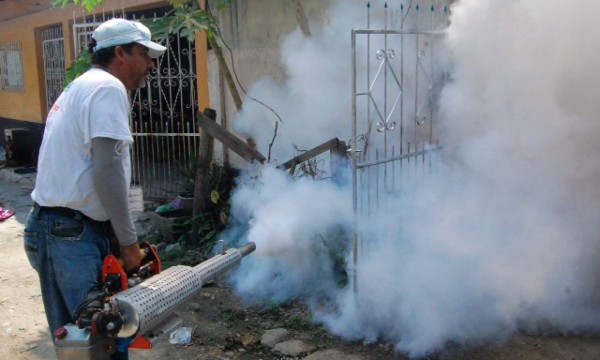 Intensifican campaña contra dengue y chikungunya en San Pedro Sula