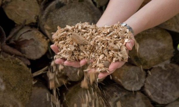 Planta de generación a base de biomasa entrará en operaciones en abril en Honduras