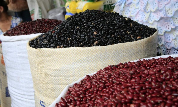 Siguen la pista a 50 acaparadores de frijoles en Honduras gracias a las denuncias