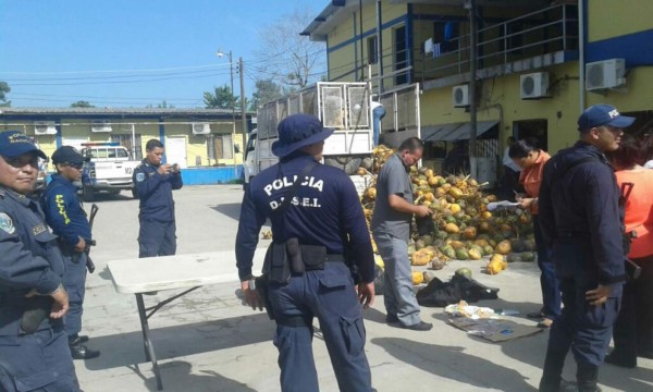 Decomisan droga oculta en camión cargado de cocos
