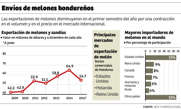 Melón hondureño se alista para ingresar al mercado 5 estrellas