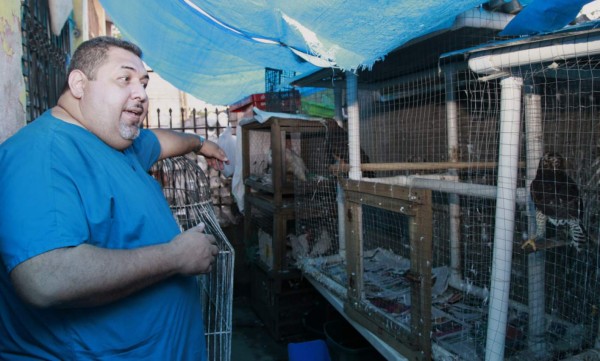 Funapa realiza exhibición y ofrece en adopción perros, gatos y loros este día