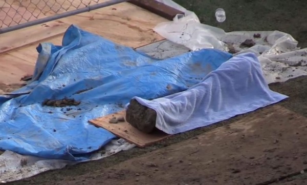 Hallan en EUA restos de mamut de más de 10,000 años