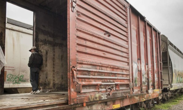 Hondureño es arrollado por La Bestia tras pelear con otro compatriota