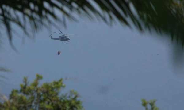 Con helicóptero de la FFAA combaten incendio en parque Jeannette Kawas  