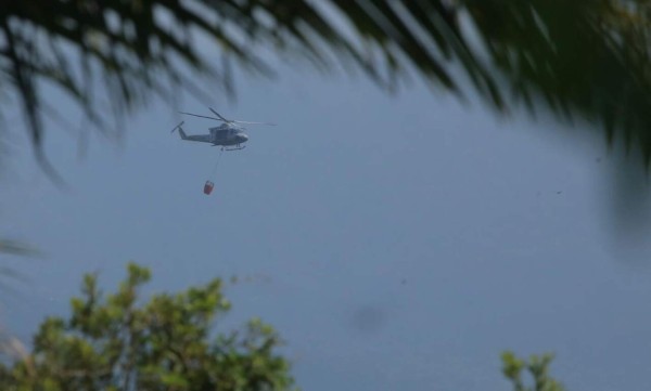 Con helicóptero de la FFAA combaten incendio en parque Jeannette Kawas  
