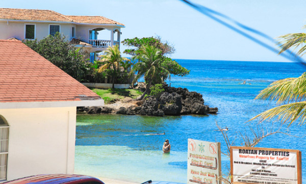 Roatán: Contaminación daña arrecifes de coral