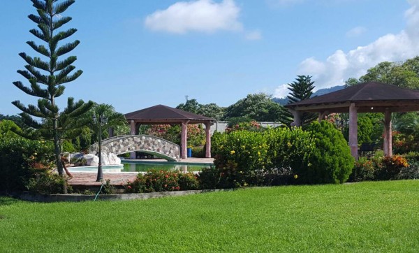 Desde enero investigaban bienes ligados a 'Don H”