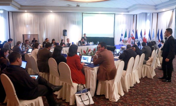 Coyotes infunden temor y aprovechan el muro de Trump