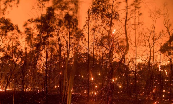TOPSHOT - In this long exposure photograph, embers fly off smouldering trees after flames from the 'Wall fire' tore through a residential neighborhood near Oroville, California on July 9, 2017.The first major wildfires after the end of California's five-year drought raged across the state on July 8, as it was gripped by a record-breaking heatwave. / AFP PHOTO / JOSH EDELSON