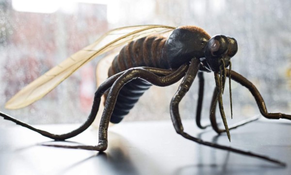 El Zika podría causar abortos, según un estudio