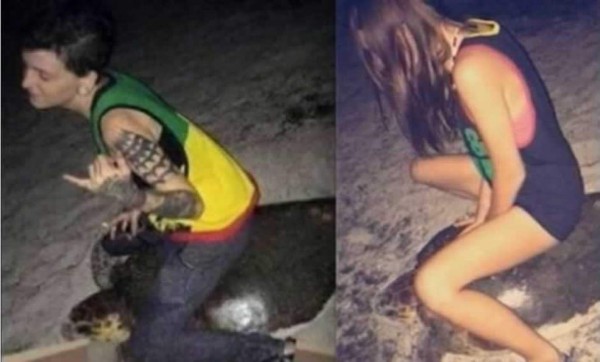 Por montar sobre una tortuga, esto fue lo que recibió...