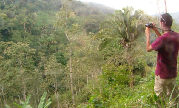 Puerto Cortés inicia plan para explotar el turismo ecológico